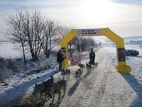 Ersten aufblasbaren Torbögen als Startbogen für Hundeschlittenrennen